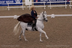 Lusitano Breed Society of Great Britain Show - Hartpury College - 27th June 2009